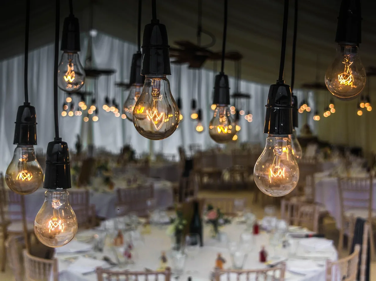 wedding, bulbs, lighting, light, celebration, decoration, marriage, party, romantic, creative, glass, event, wedding, party, event, event, event, event, event. Building a party rental business referral habit