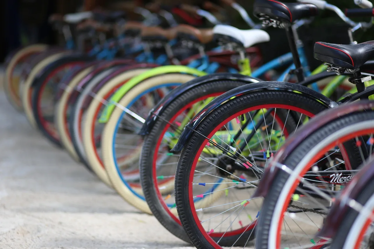 color, bike, bicycle, rubber wheel, samples, sports, rental, lifestyle. Scheduling party rental work so nothing slips