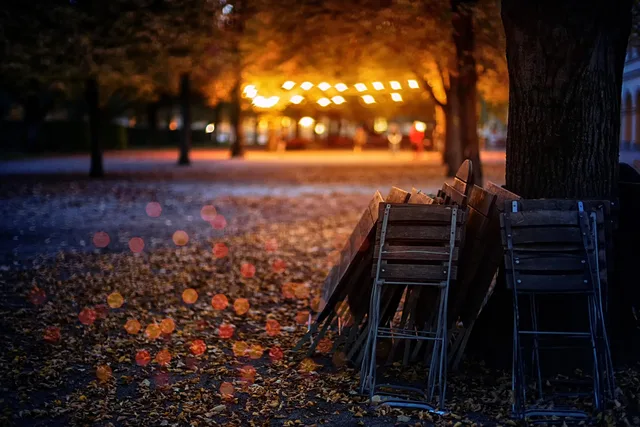 fall, leaves, lights, garden, celebration, multicoloured, chairs, garden chairs, tree, festival of lights, fixed, nature, beer garden, orange, chinese lanterns, bokeh, folded up, folding chair, munich, bavaria. 7 things about party rental equipment worth your time